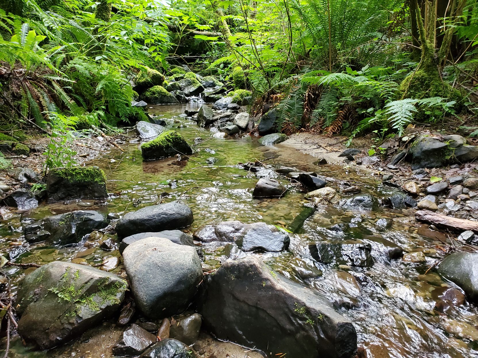 Waterfall trail 2